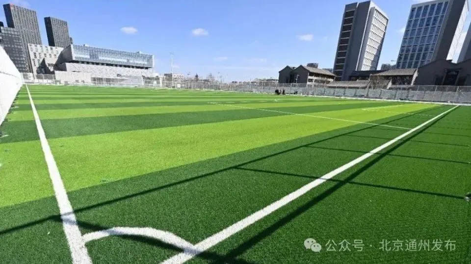 如何制定智能篮球训练计划_1